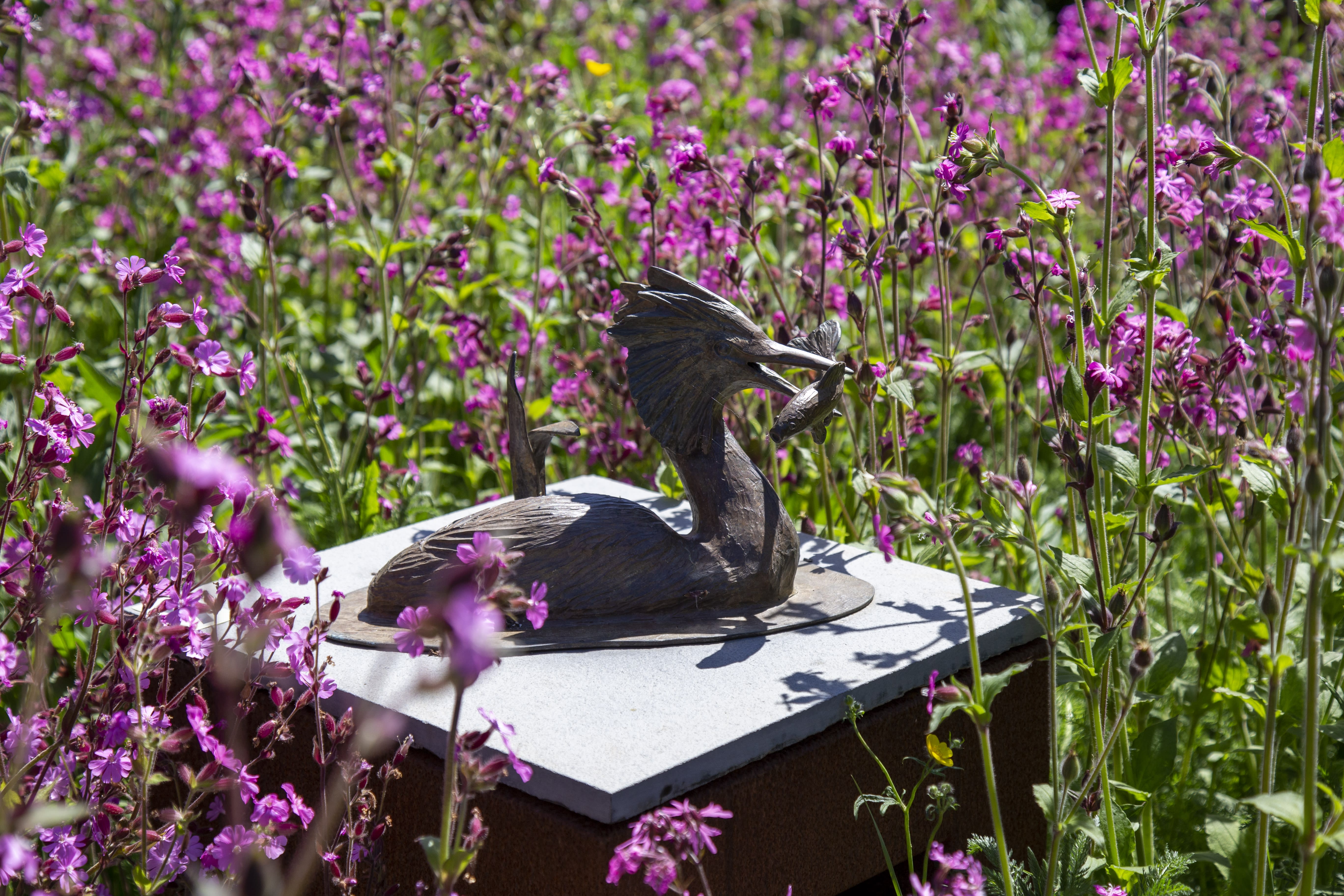 The Wykeham Gallery Garden 