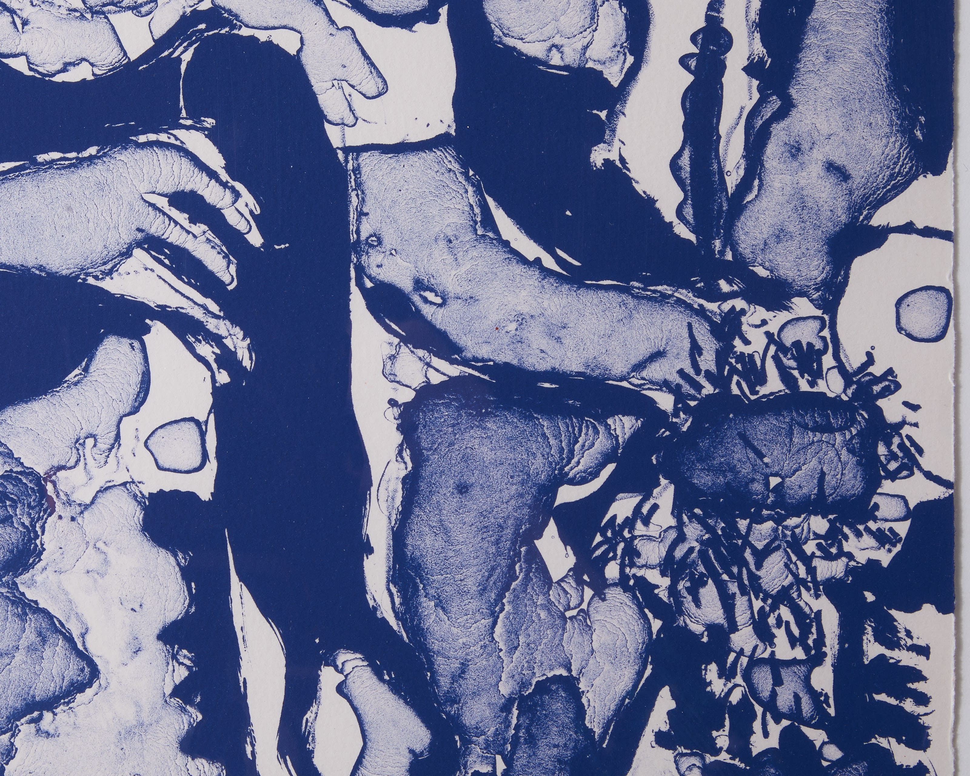 Fritz Scholder at Zane Bennett Contemporary Art