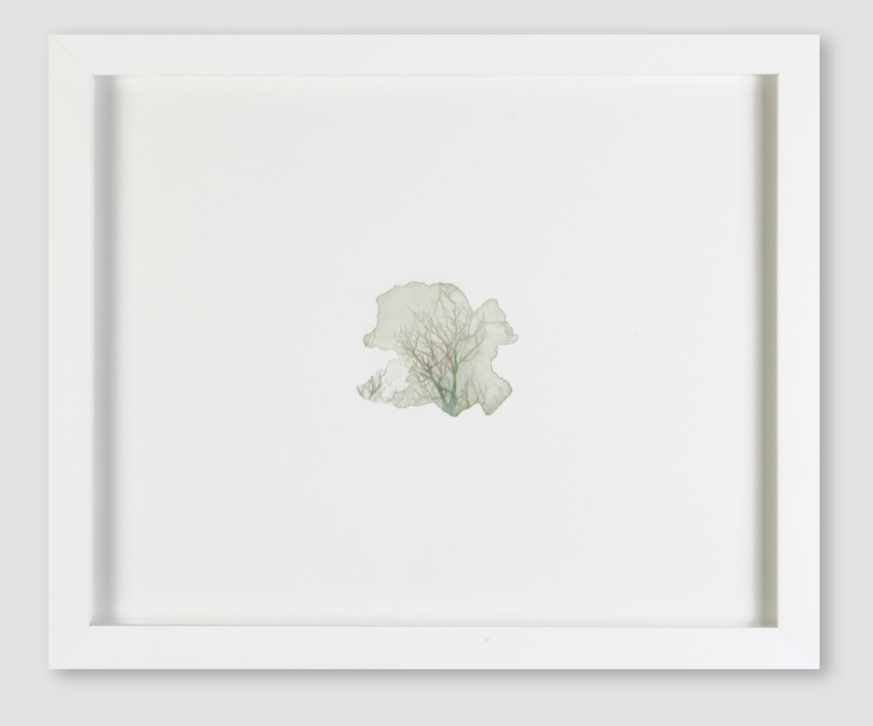 Katrina Bello at Zane Bennett Contemporary Art