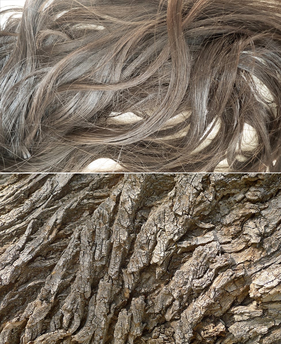Hair, elm tree bark