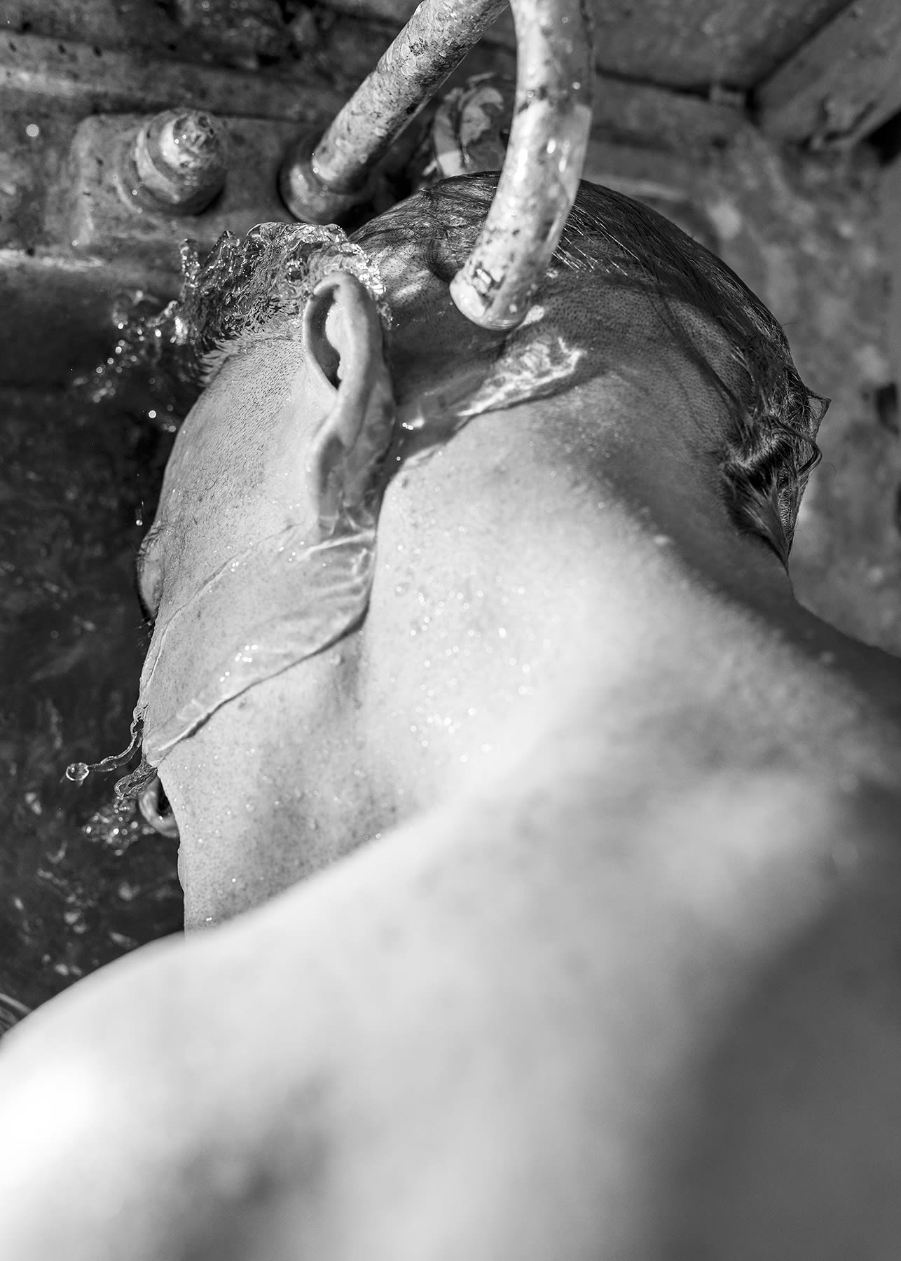 Jack at the Sink (Skowhegan), 2019