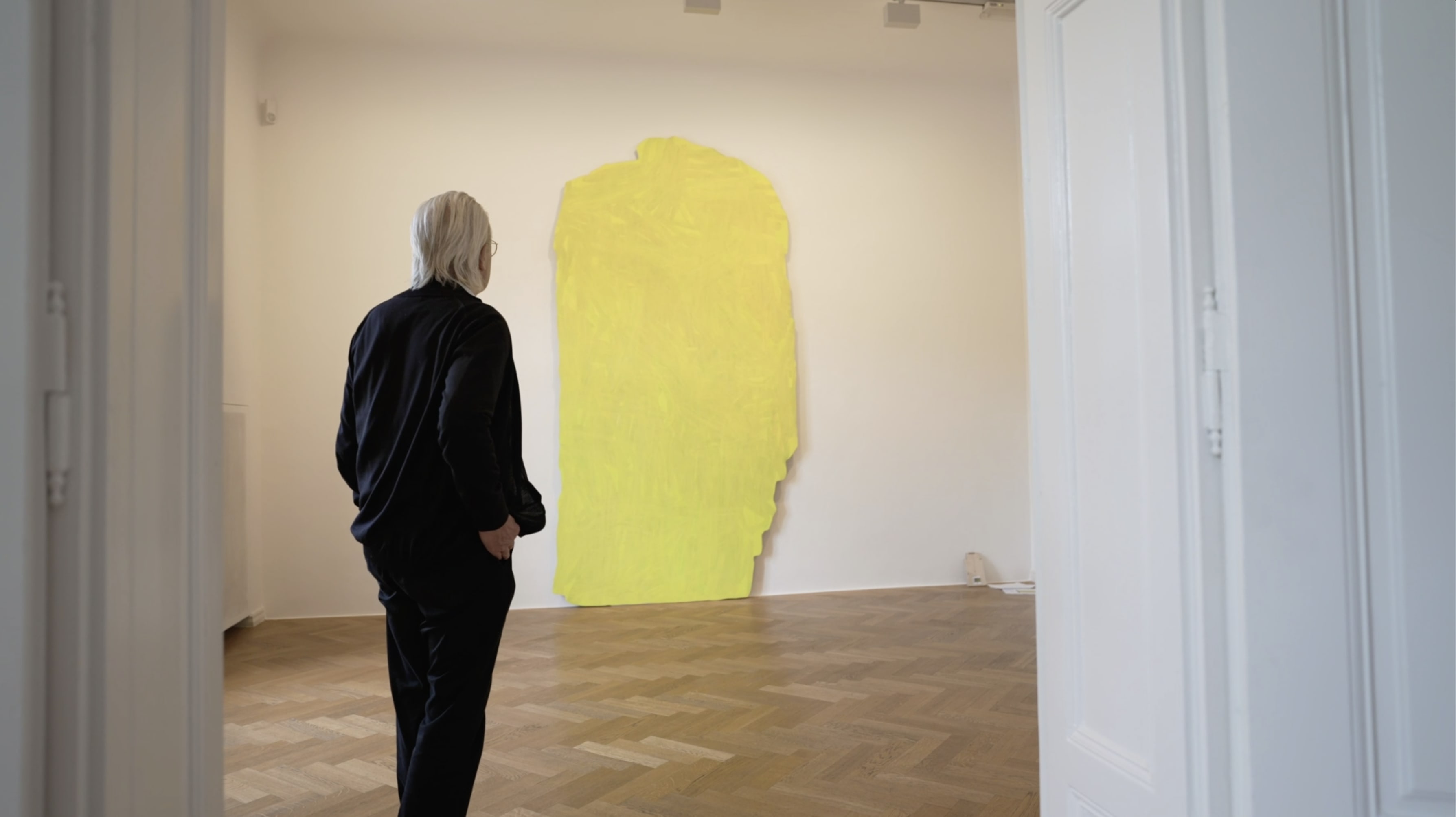 Watch a teaser video of the installation