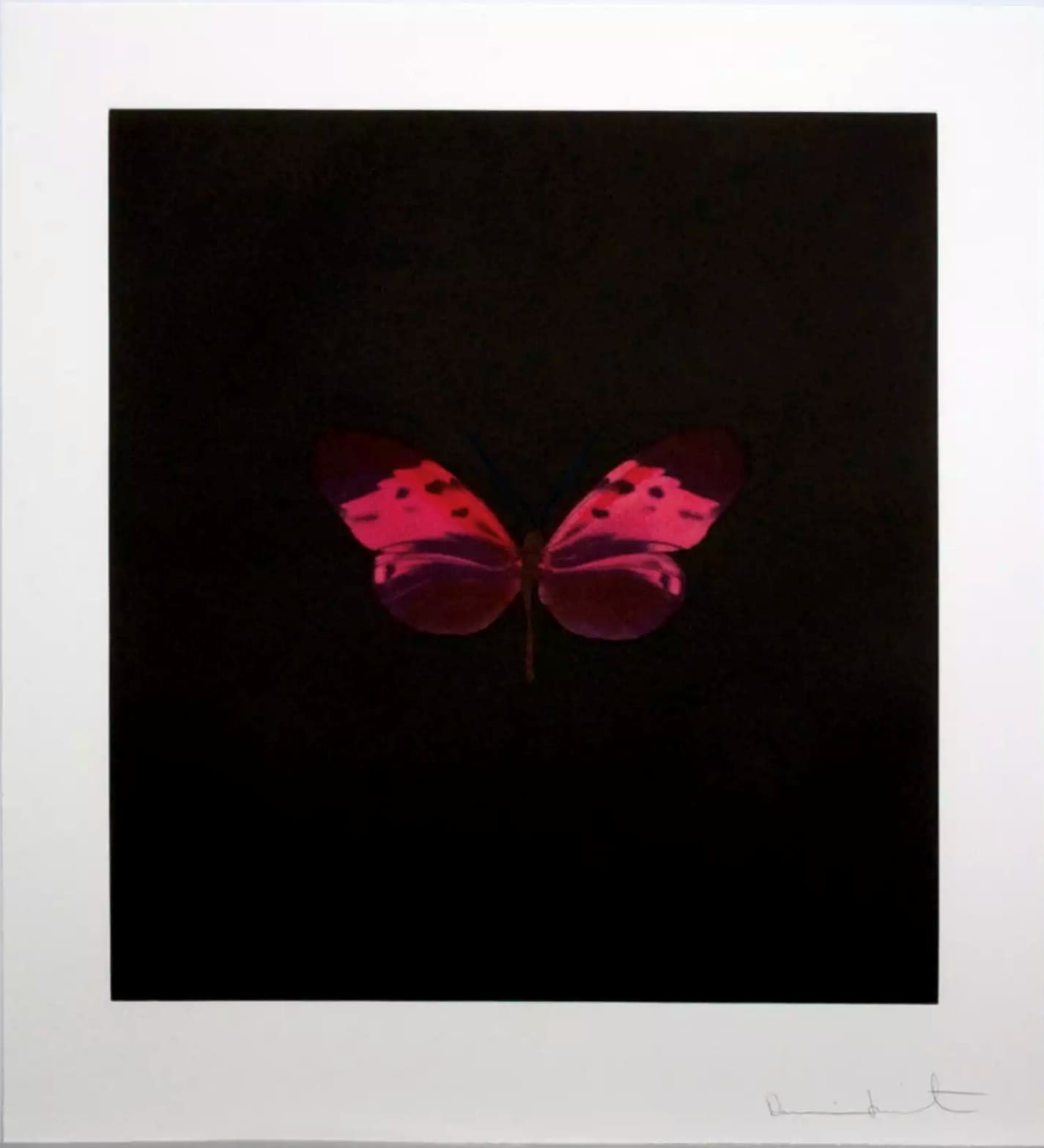 Damien Hirst, Pink Butterfly (Memento), 2008