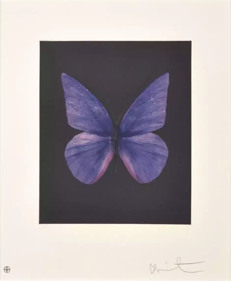 Damien Hirst, Butterfly (Renewal), 2009