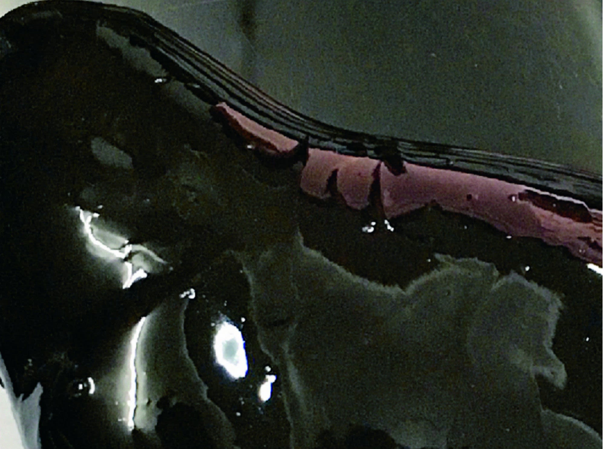Constant Dullaart Alien Metter Transmediale 2017 Haus Der