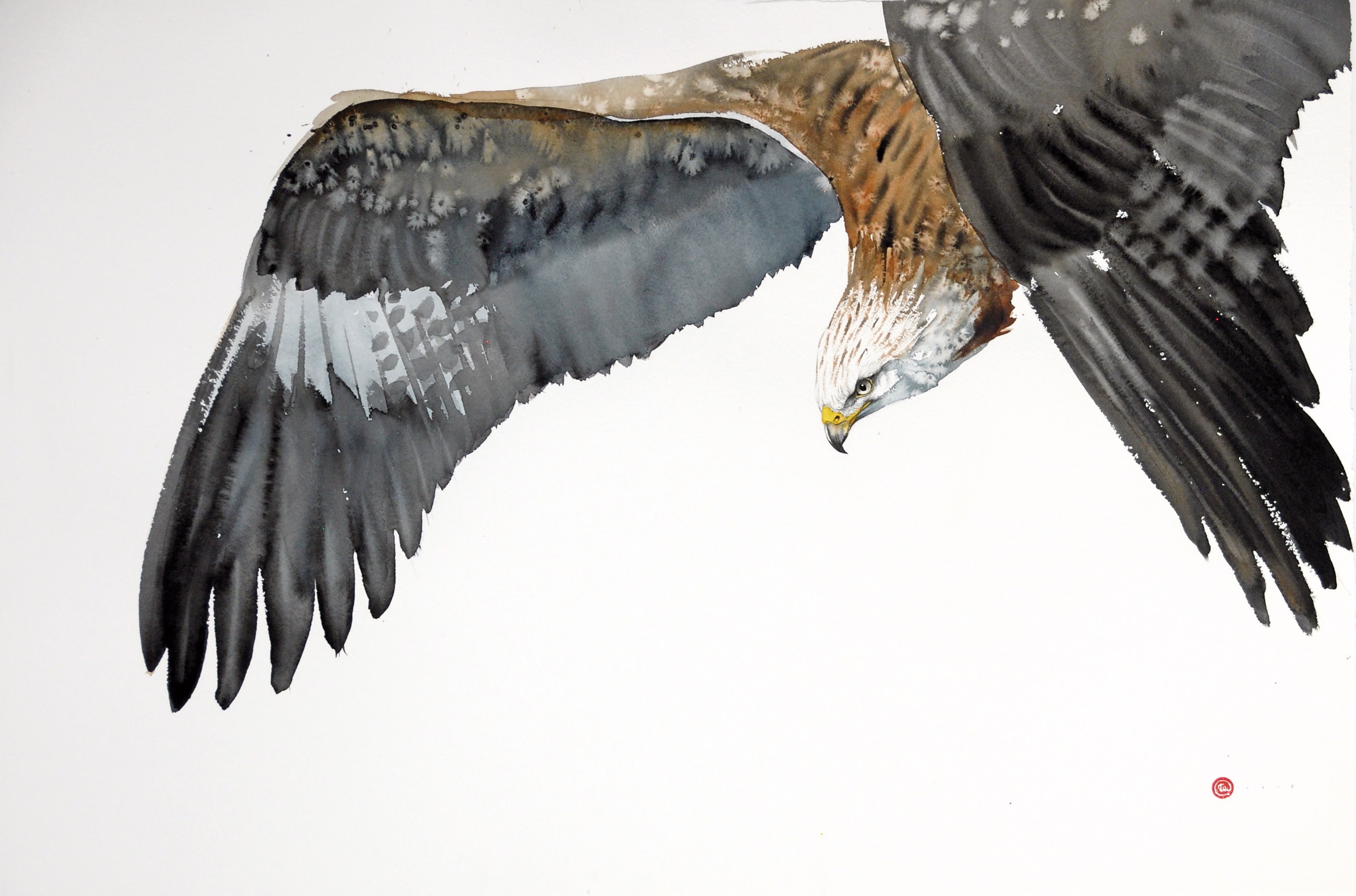 Karl Martens Moments In Flight Cricket Fine Art