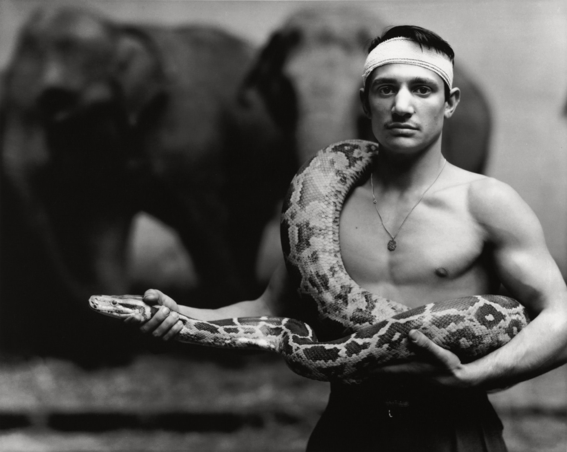Richard Avedon