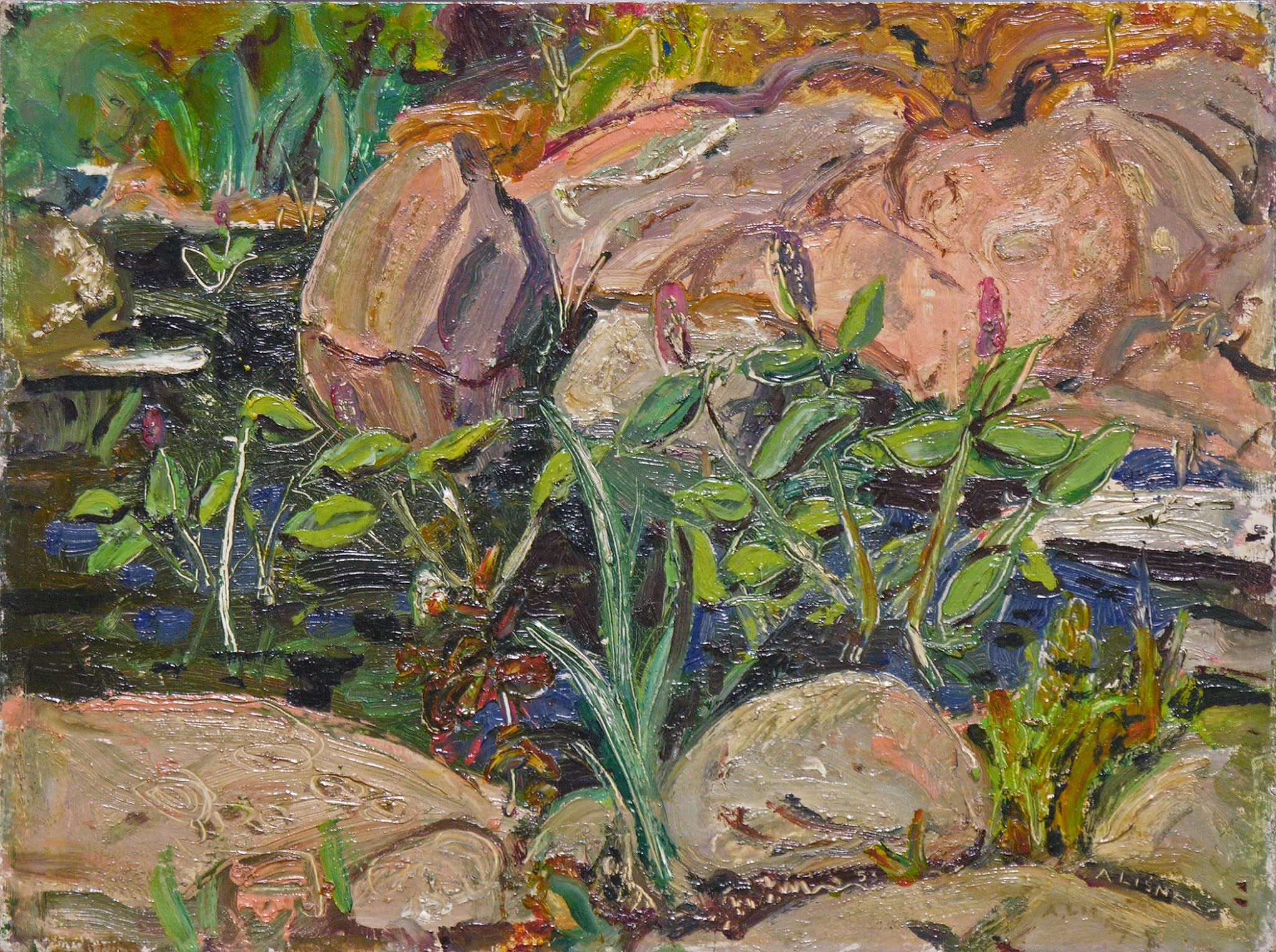 Arthur Lismer, Rocks and Pool, Georgian Bay, 1953