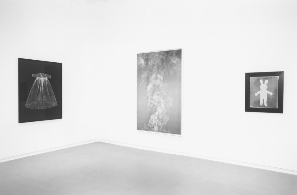 Adam Fuss | Cheim & Read