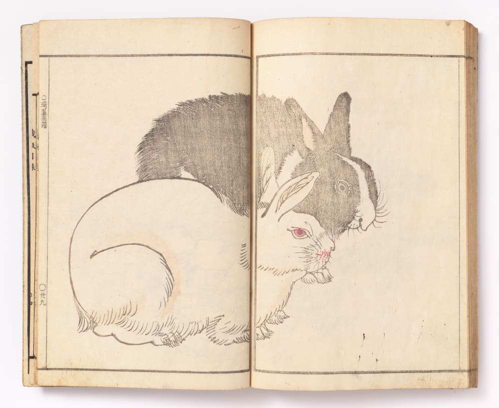 Nature | Anastasia von Seibold Japanese Art