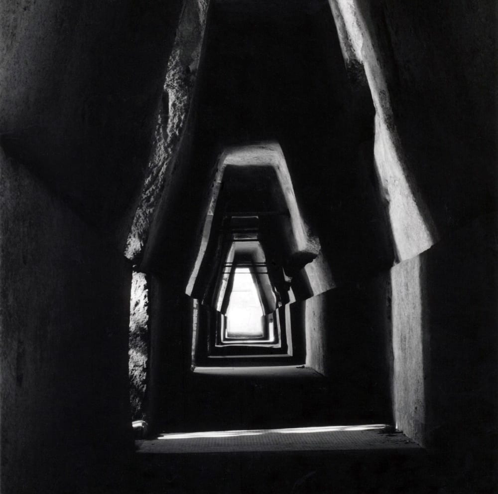 Robert Mapplethorpe - 