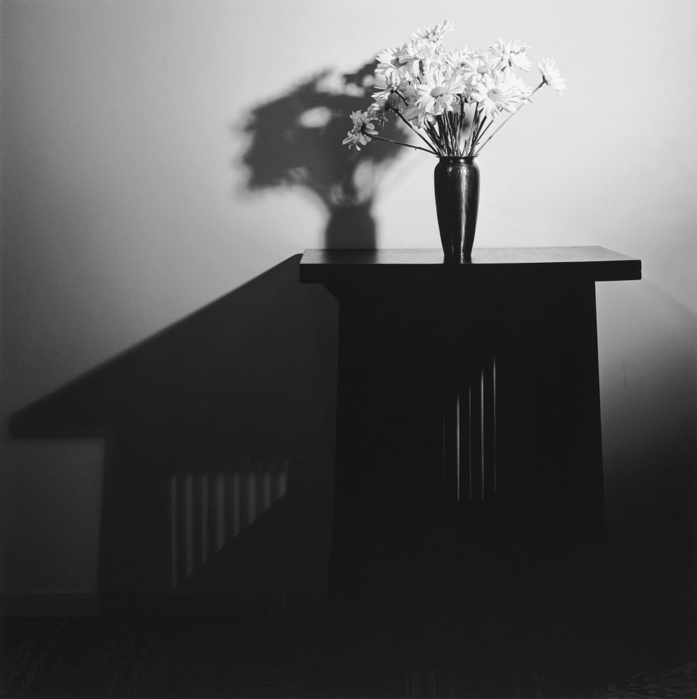 Robert Mapplethorpe, Tit Profile, 1980 | Galerie Thomas Schulte