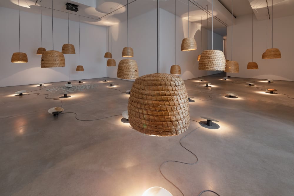 Rebecca Horn, Himmelswurzeln, 2013 | Galerie Thomas Schulte