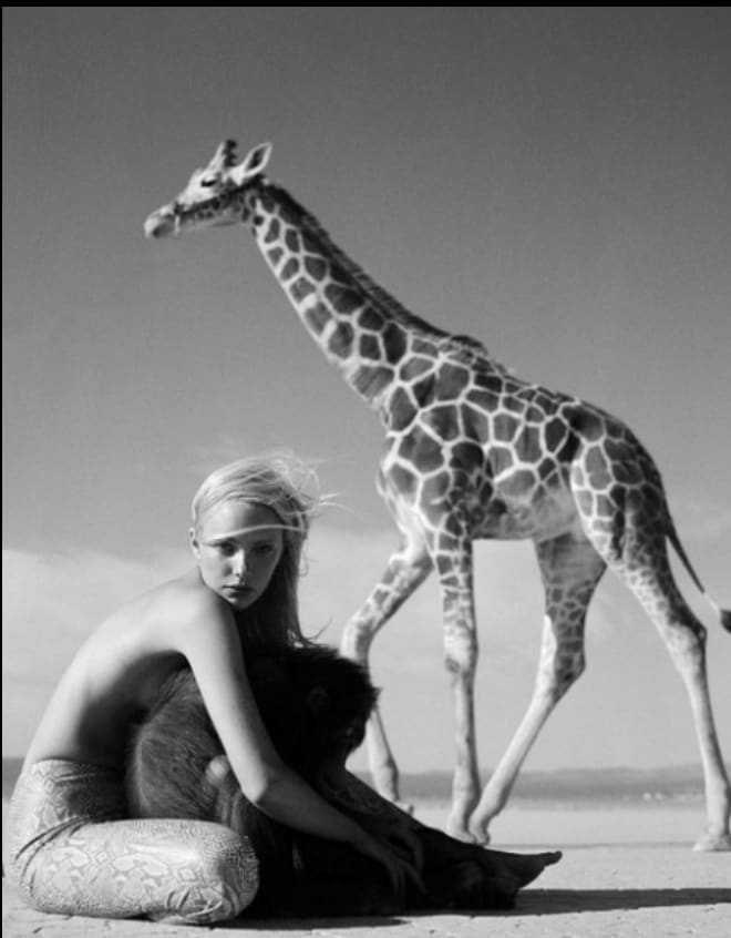 Michel Comte: Twenty Years 1979-1999 写真集 Michel Comte @ the Museum of Design in Zurich - Alain.R.Truong