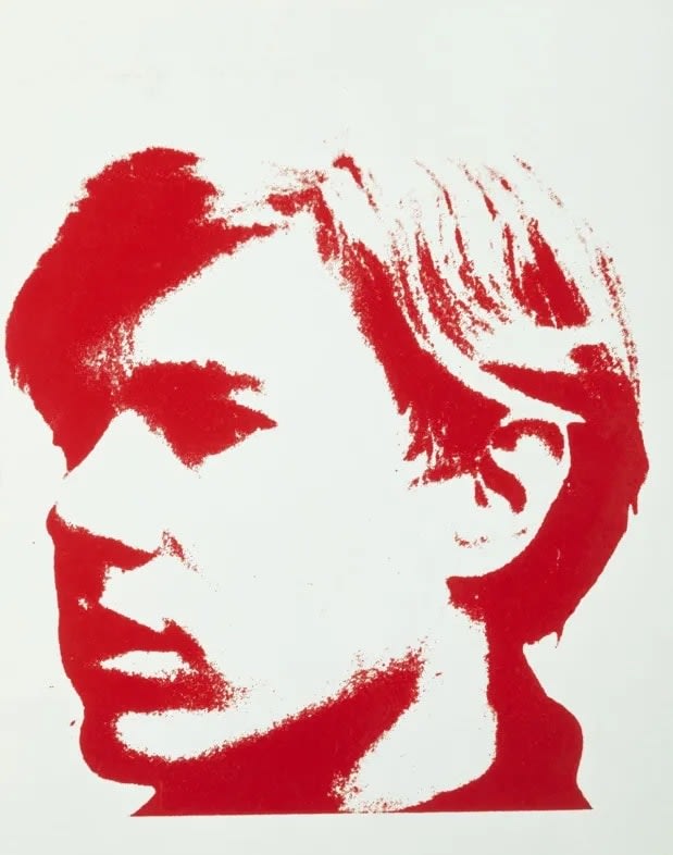 pop art andy warhol №3295 Ready to Hang Canvas Print