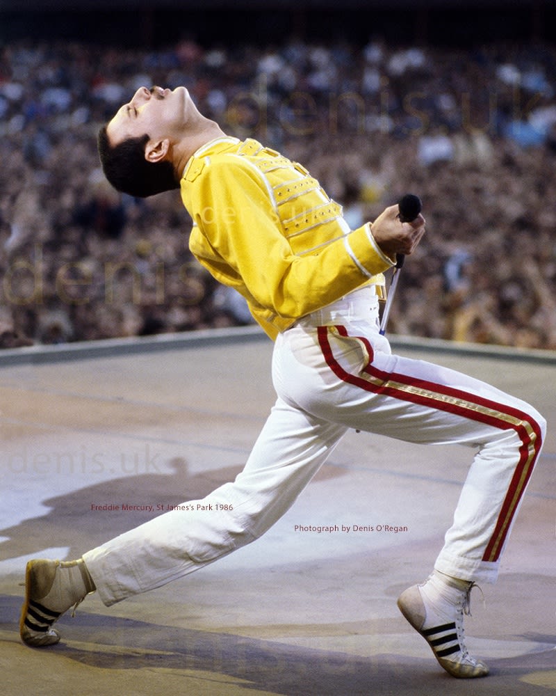 QUEEN, Freddie Mercury St Park, 1986 | Denis O'Regan