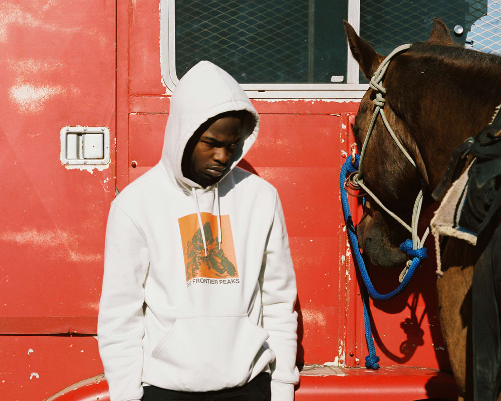 The frontier 2025 peaks hoodie