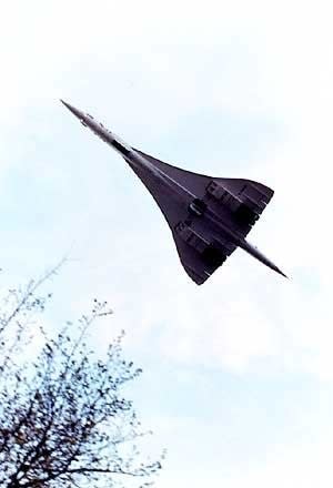 Wolfgang Tillmans, Concorde Group I, 1997 | Simmons & Simmons