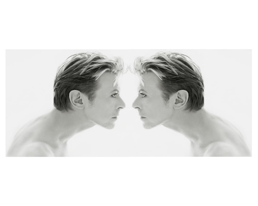 Kate Garner, Bowie in a Tube, 1995 | Zebra One Gallery