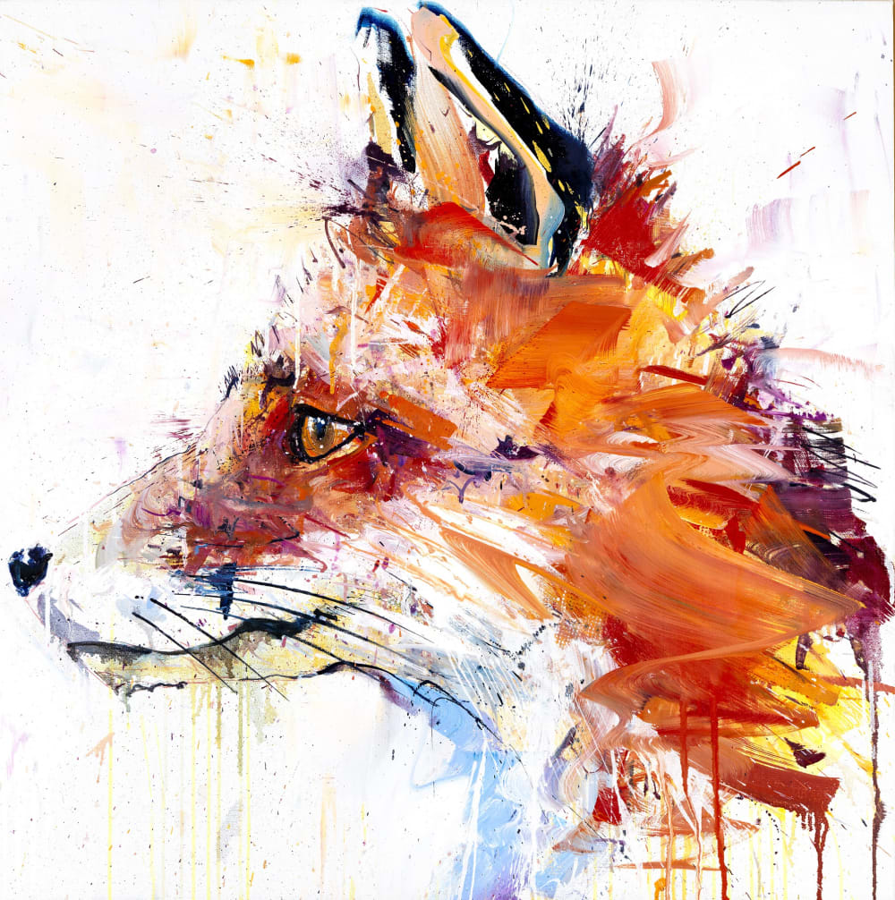 Dave white rabbit deals