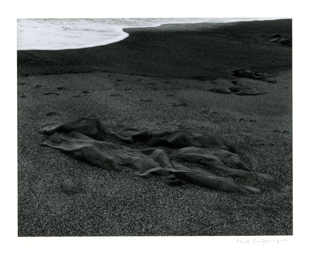 Paul Caponigro - Works | Etherton Gallery