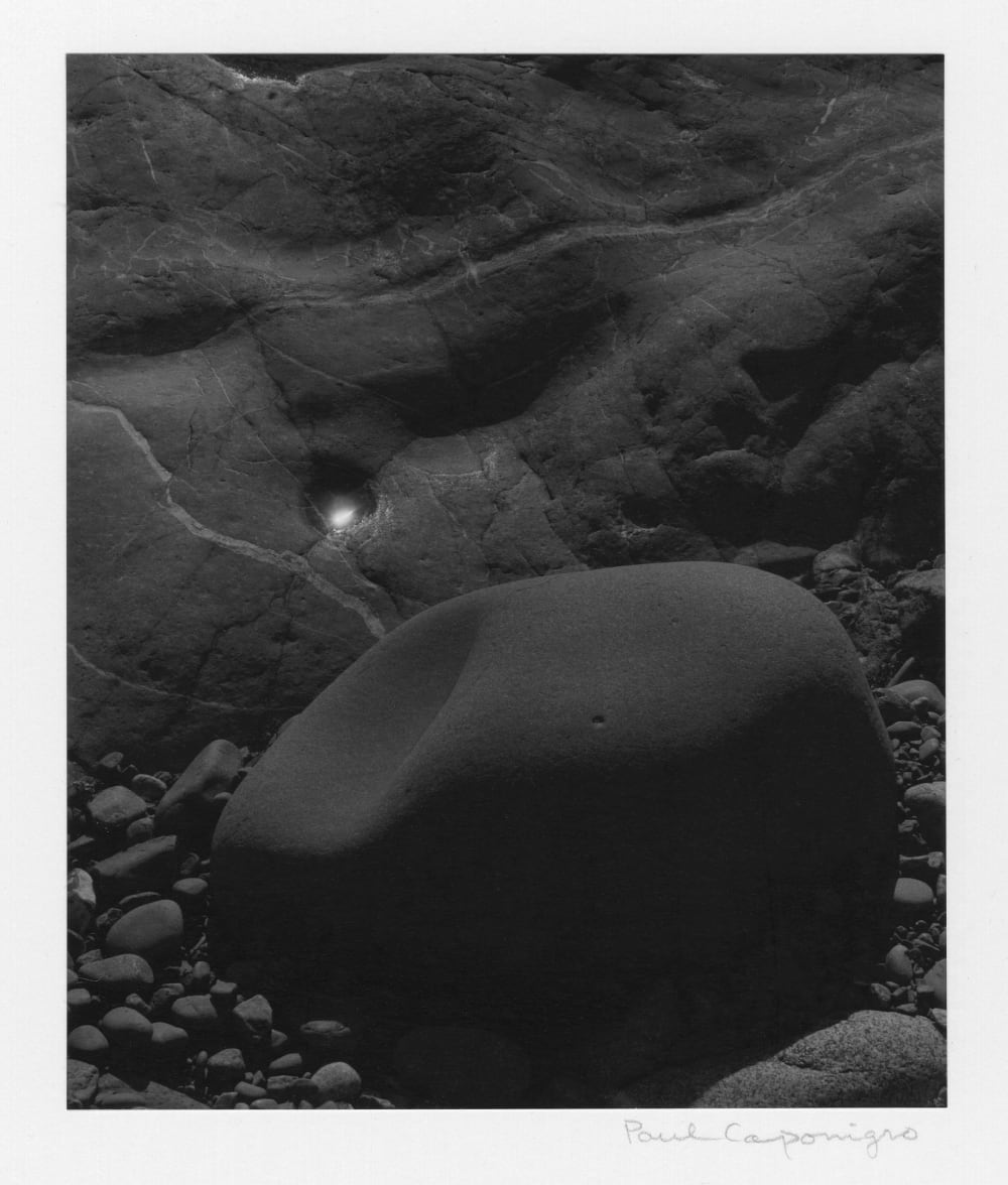 ポール・カポニグロ The Wise Silence Paul Caponigr 41yygmMxJFL._AC_SY200_QL15_.jpg