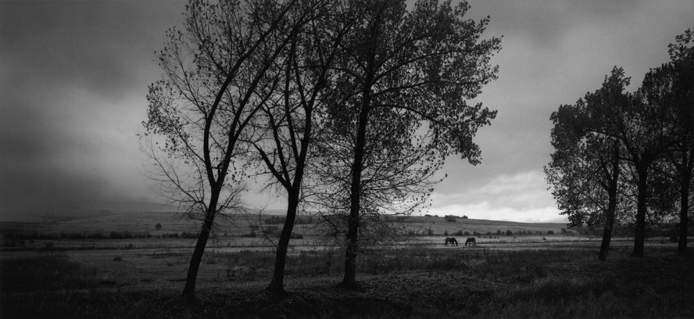 Pentti Sammallahti - Works | Etherton Gallery