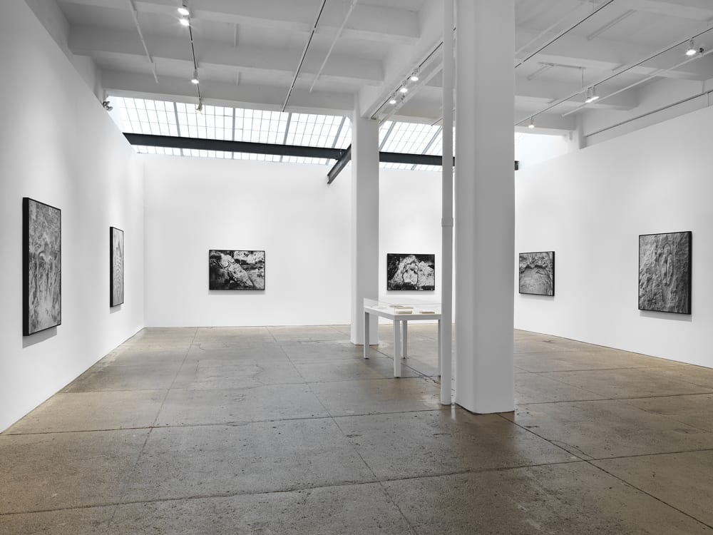 Ana Mendieta: La tierra habla (The Earth Speaks)