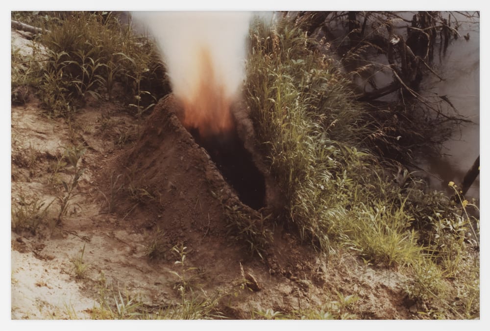 Irrigation Veins: Ana Mendieta and Carolee Schneemann Selected Works 1966 – 1983