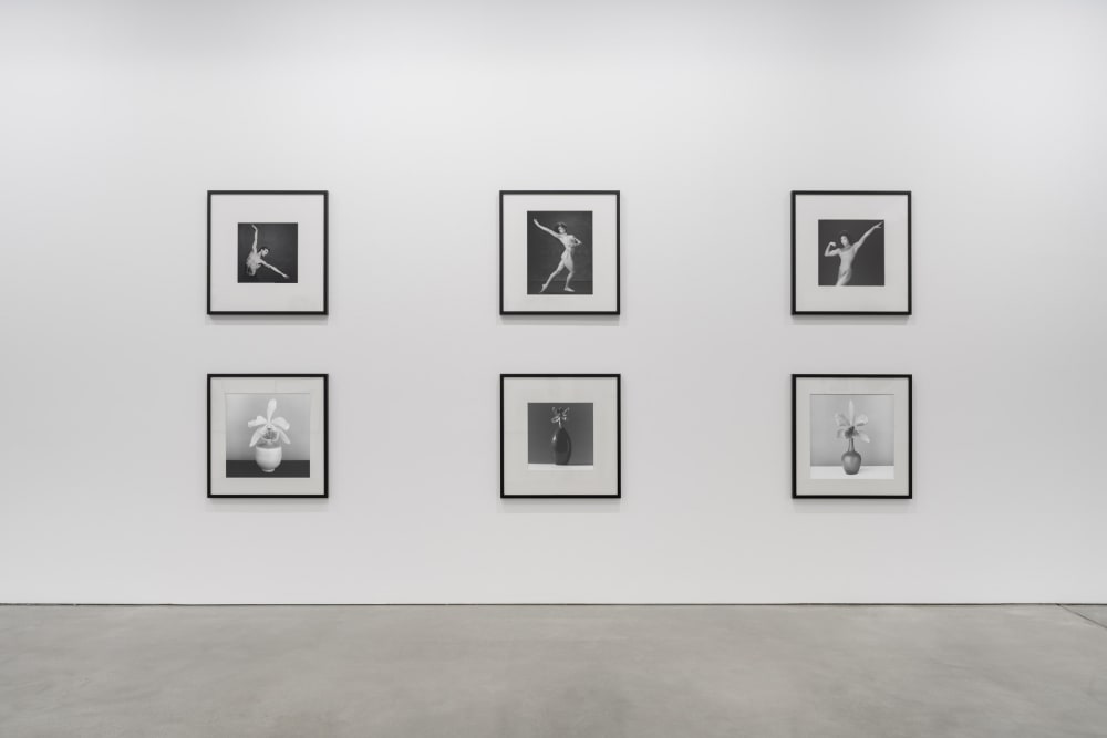 Behold the Lowly Vessel | Galerie Thomas Schulte