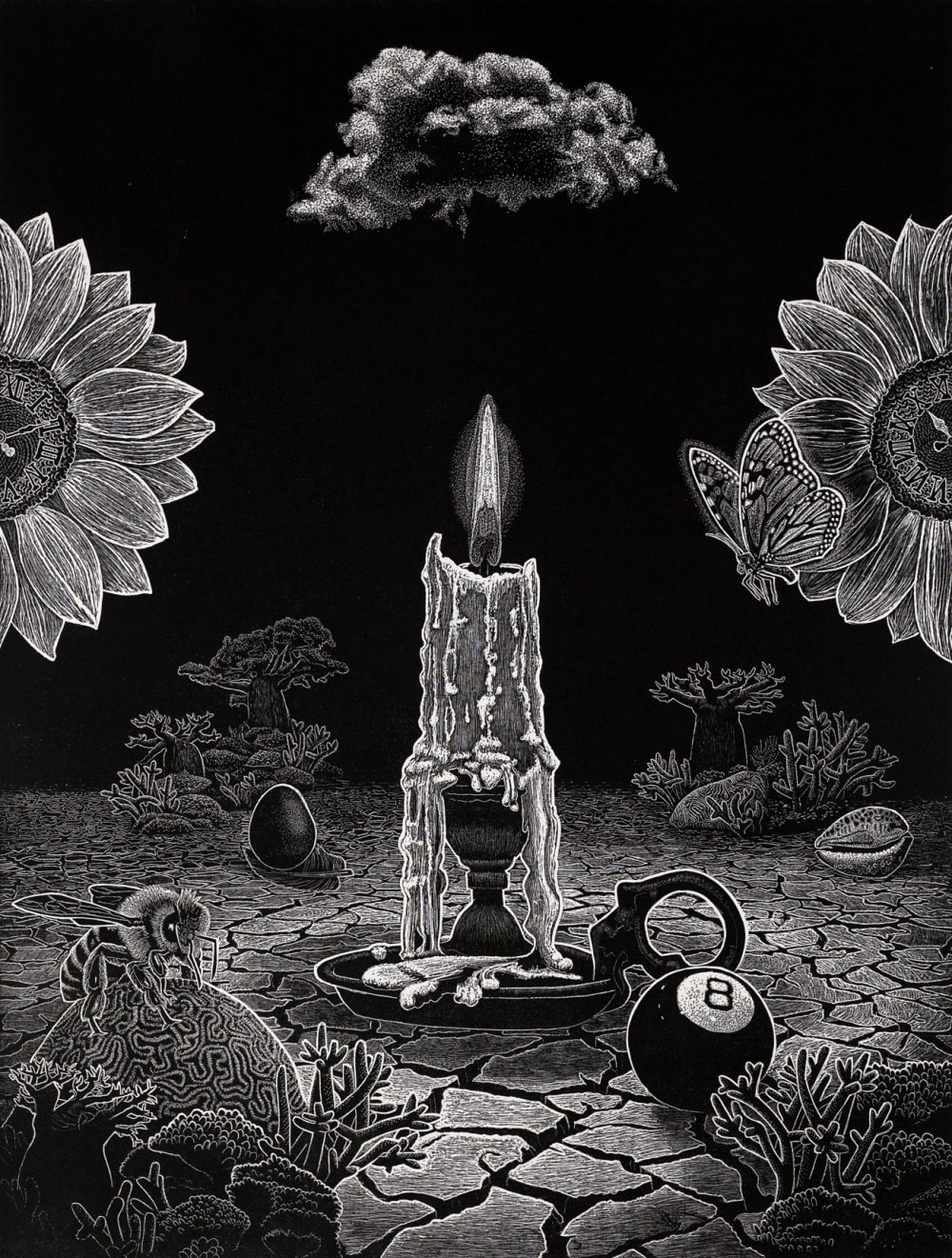Ade Adesina - Contradictions