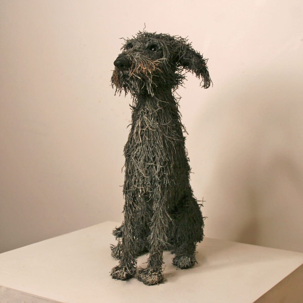 Gemma Rees - Django (Wire-Haired Dachshund)