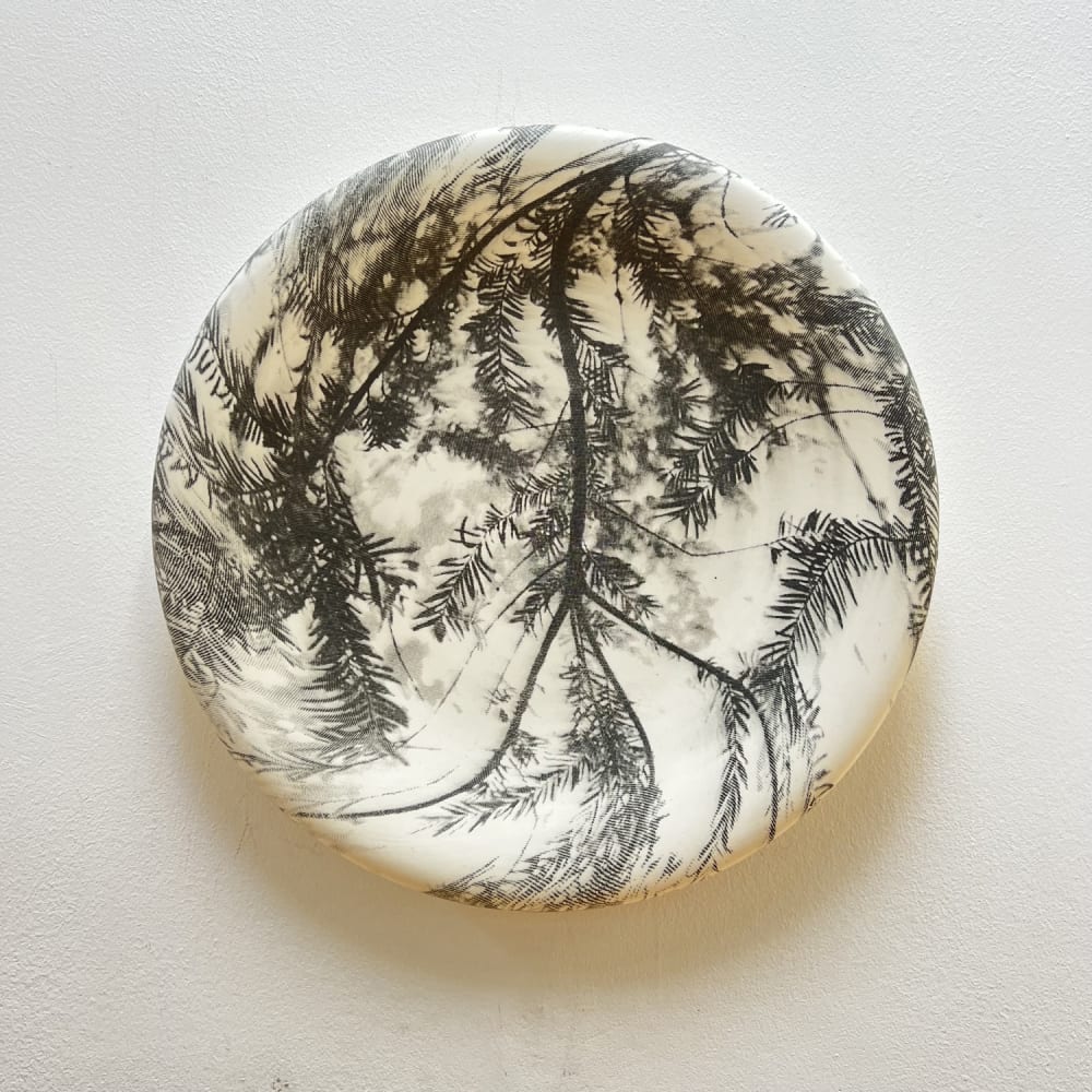 Heidi Harrington - Yew Plate #1