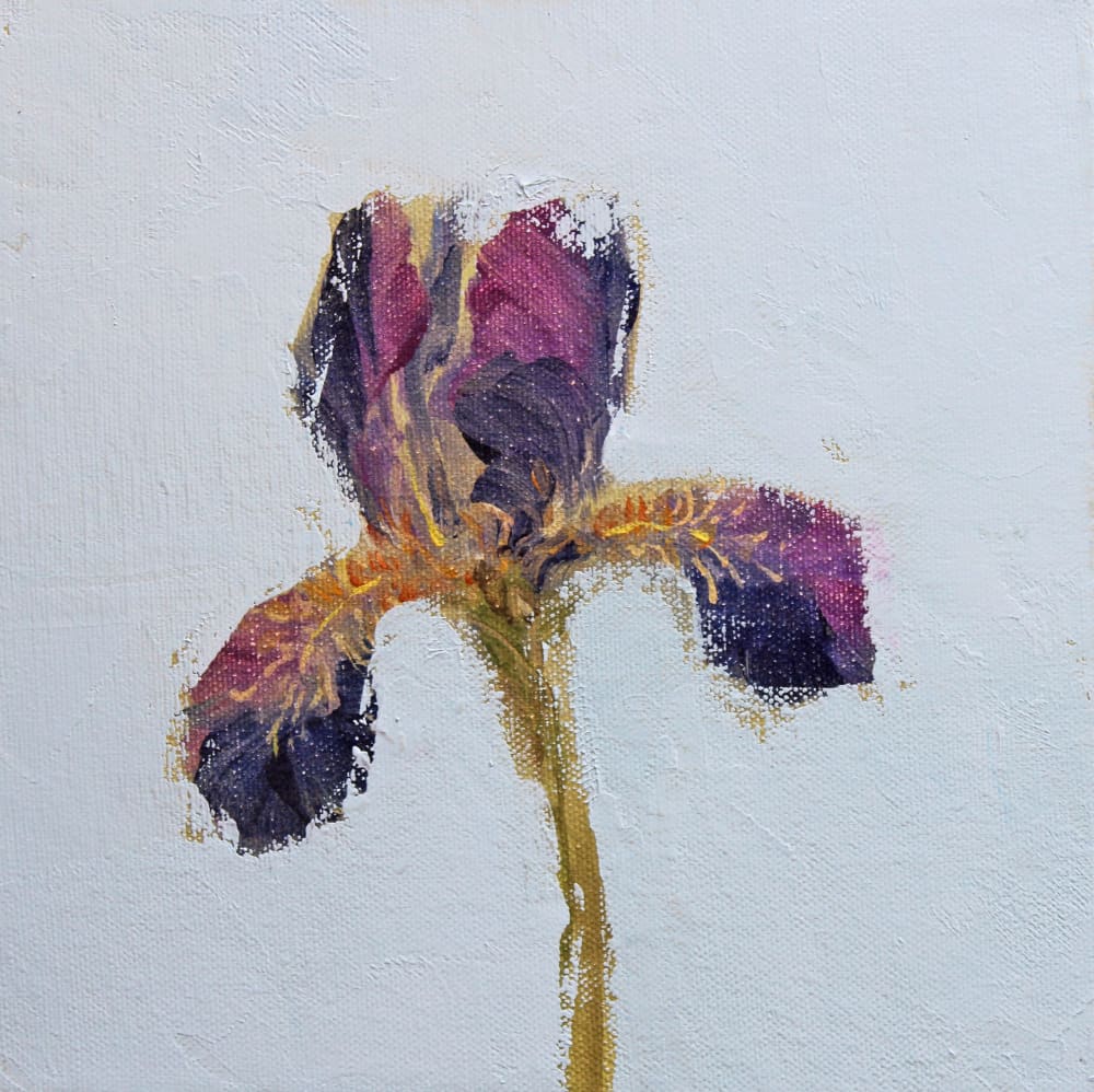 Fletcher Prentice painting of a single dark purple iris flower