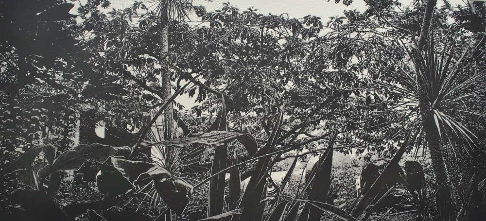 Trevor Price drypoint in black and white of the rich plant life in Hepworth's Garden