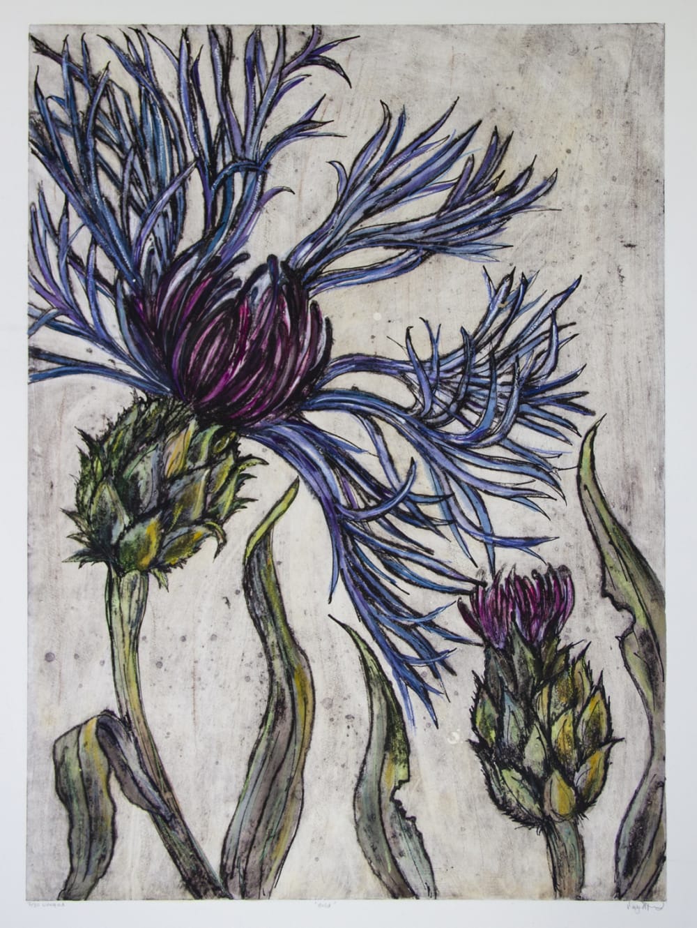 Vicky Oldfield collagraph print showing a close up perspective of thistle flowers in periwinkle blue & magenta purple petals with mossy green stems on a speckled grey background.