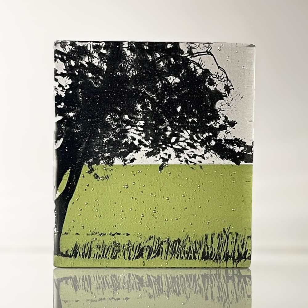 Helen Slater glass sculpture with black drawing of a tree with fern green and clear glass