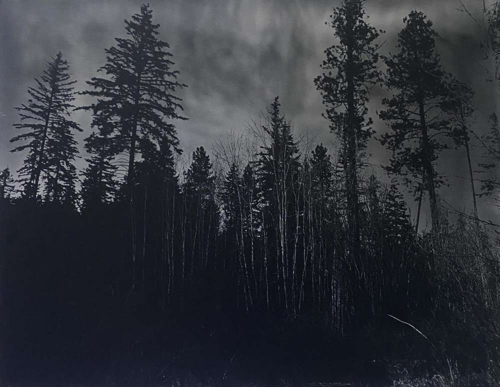 Tommy Nease, Detail of an Approaching Storm #1, 2020