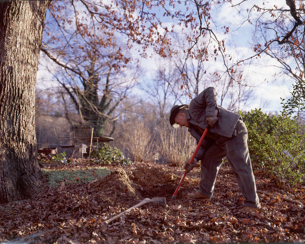 Angela West, Gracie #2, 2006