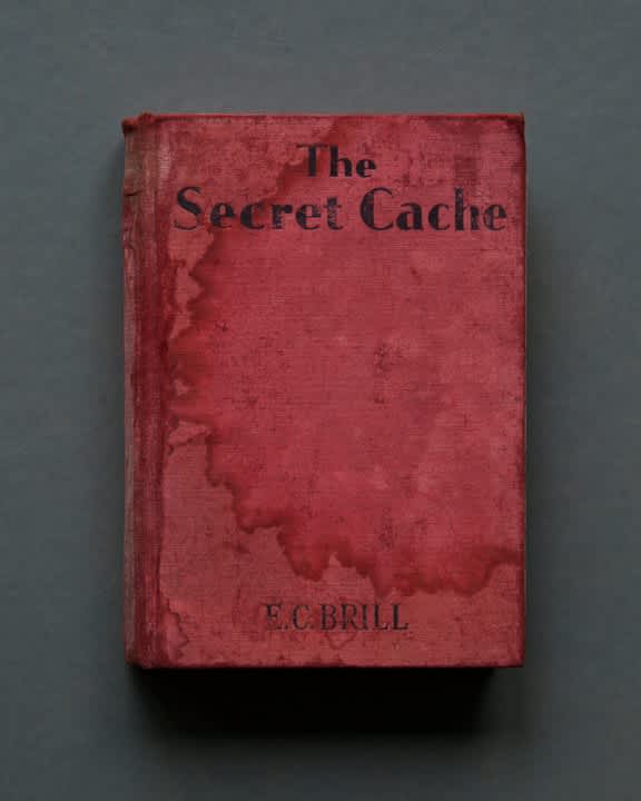 Mary Ellen Bartley, The Secret Cache, from the series Reading Grey Gardens, 2017