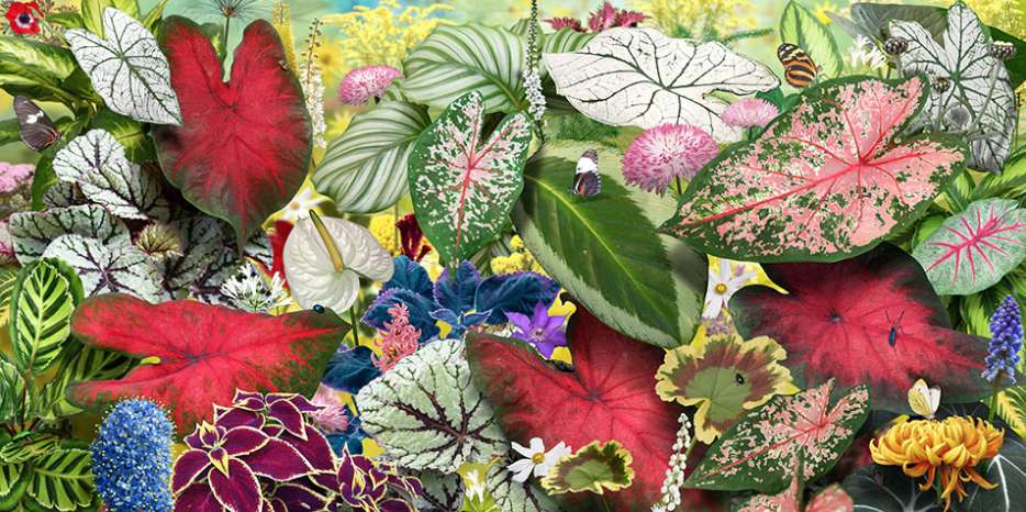 Ruud van Empel, Voyage Pittoresque #6, 2017