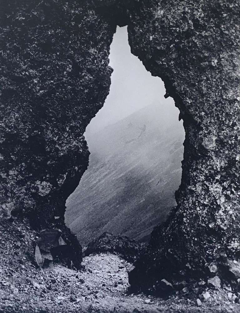 Tommy Nease, Arch, 2018