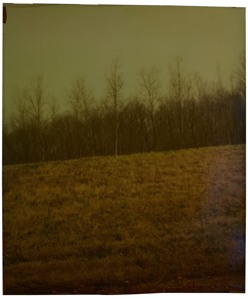 John Chiara, Old Levees at Burkes , 2014