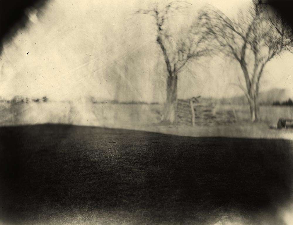 Sally Mann, Georgia Untitled (Dodd's Farm), 1996