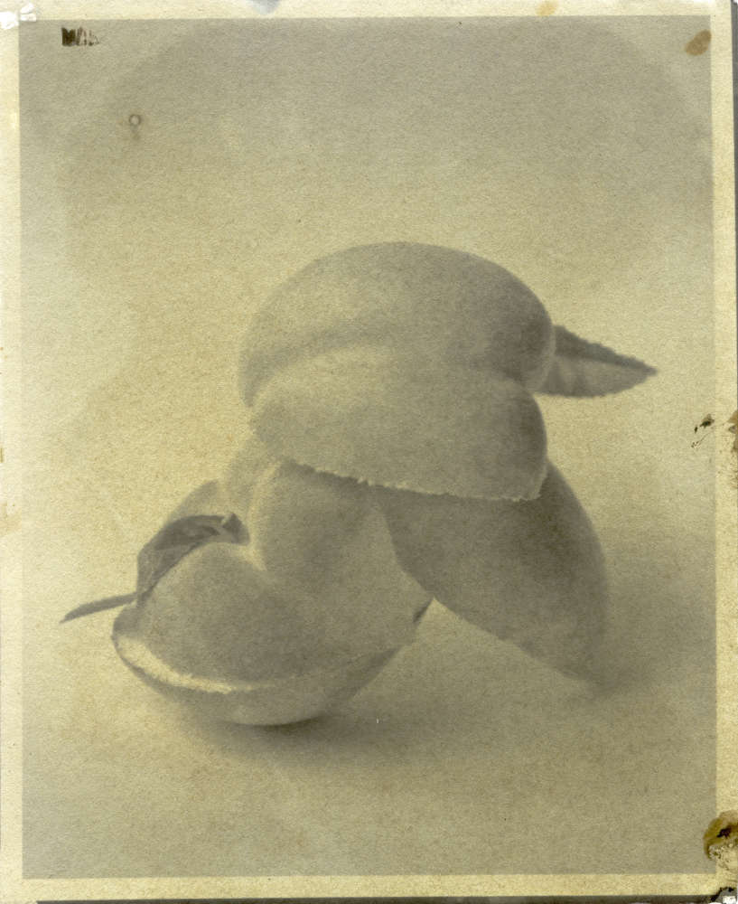 Matthew Brandt, Peaches, 9B, 2017