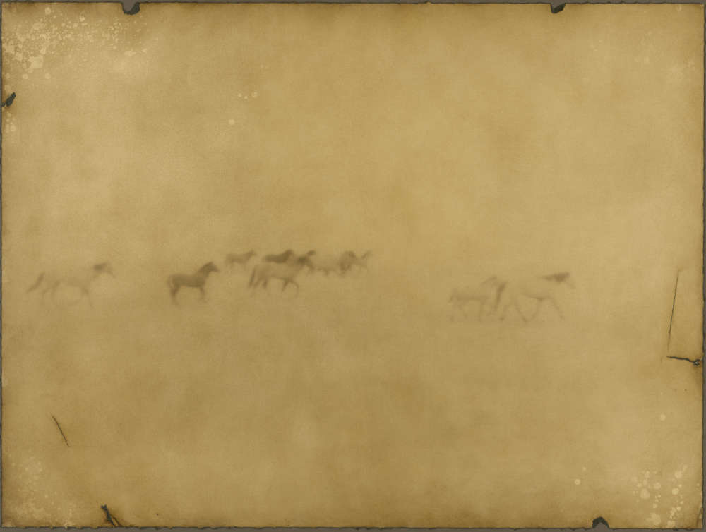 Jack Spencer, Horses, 2004