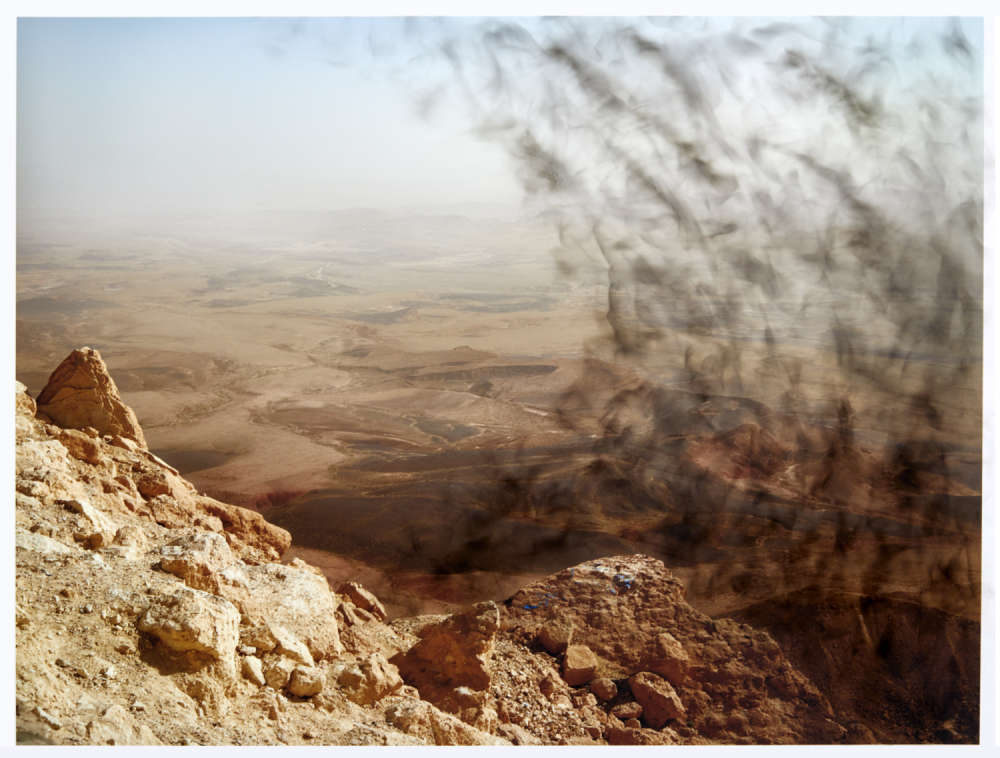 Tabitha Soren, Rosetta Stone, 2019