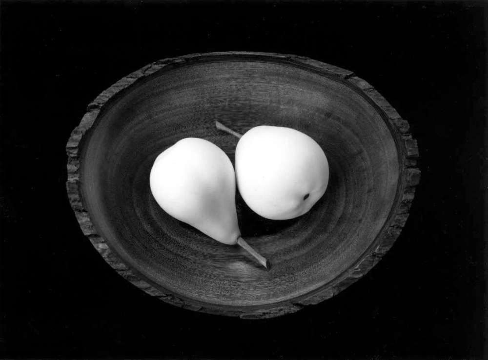 Paul Caponigro, Two Pears, ME, 1999