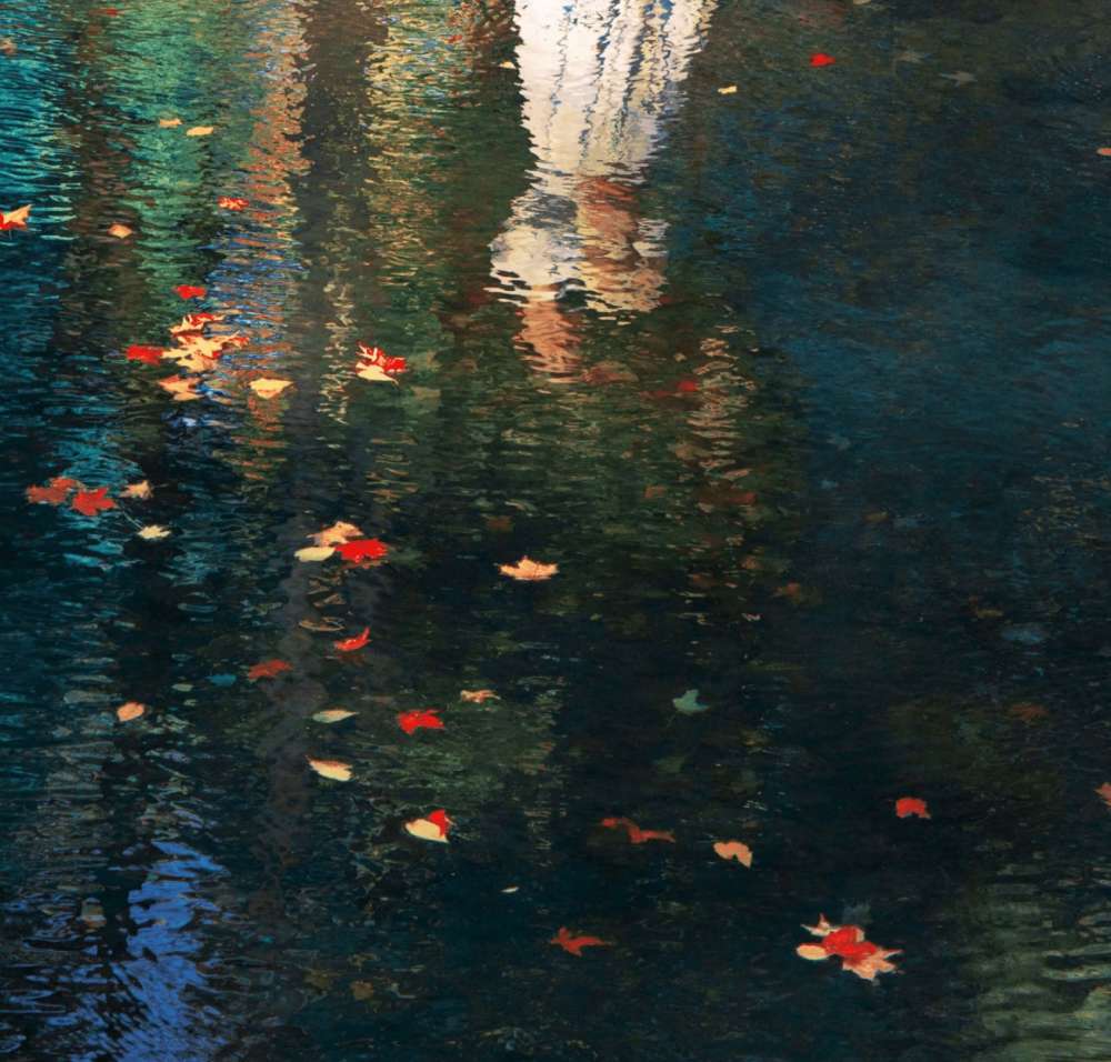 Erik Madigan Heck, Untitled