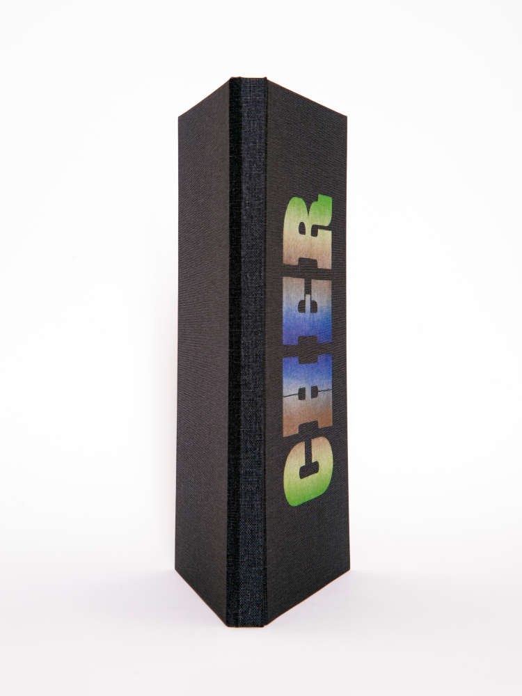 Michael Stipe, Cher, Book Cover, 2020